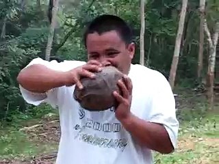 Man Opens Coconut With His Teeth (Buko King)