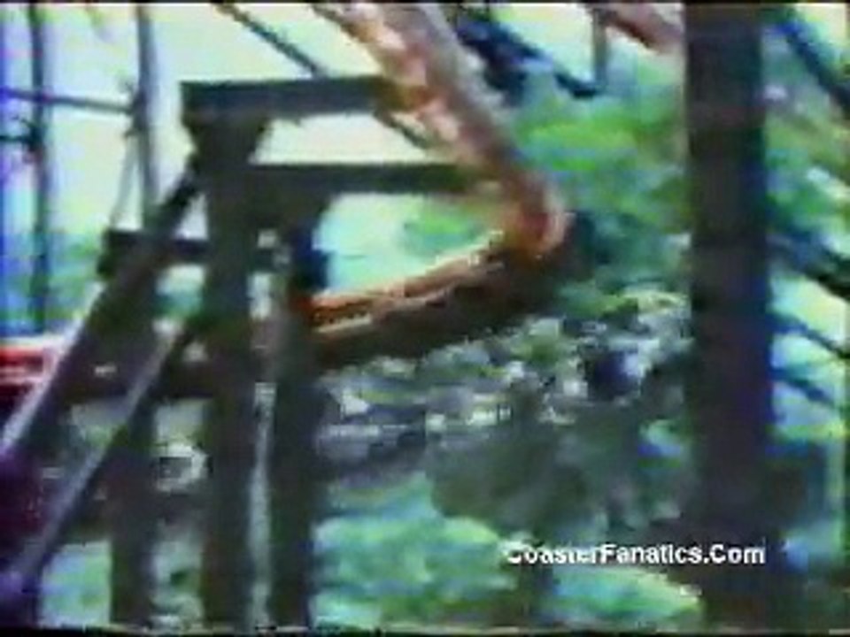 The Bat Roller Coaster At Kings Island