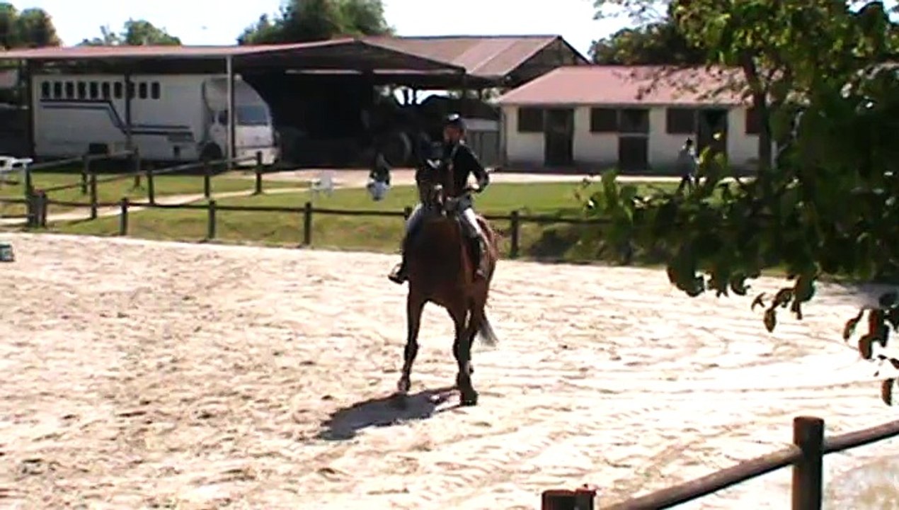 quehops st valérien grand prix 1.15m 3 ième