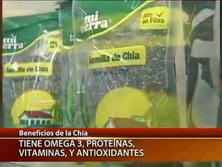 Los beneficios y secretos de la semilla Chía