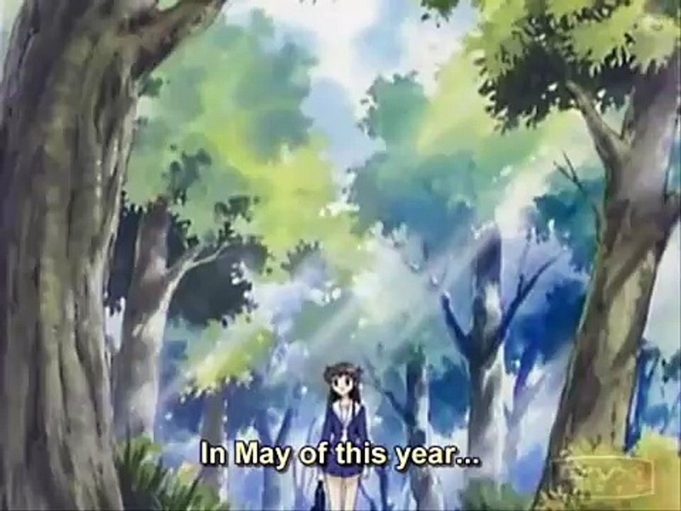 A Dream Is a Wish your Heart Makes