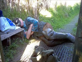 LE PIU' BELLE FOTO DI CACCIA