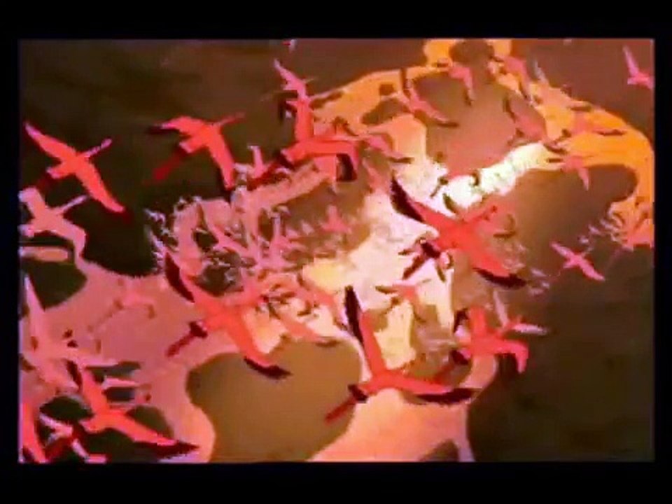 The Lion King - Circle of Life (Musical Multilanguage)