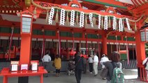 Japan is Beautiful! Kyoto Trip! (Kinetic Vlog #6)