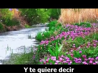 ENRICO CARUSO-      LOLITA