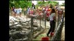 Rat Feeding Time at Everglades Alligator Farm - Florida