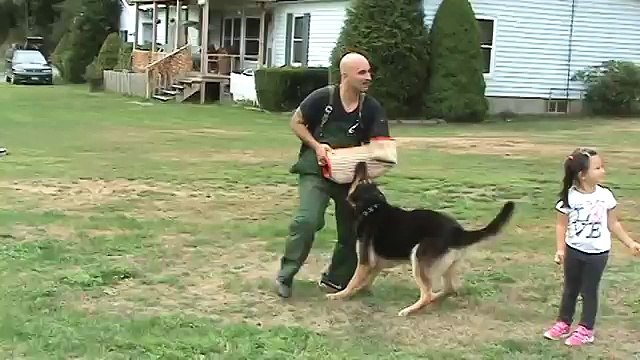 GERMAN SHEPHERD PROTECTING 4 YEAR OLD LITTLE GIRL FROM BAD GUY