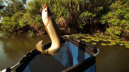 THERE’S SO MUCH TO KAKADU