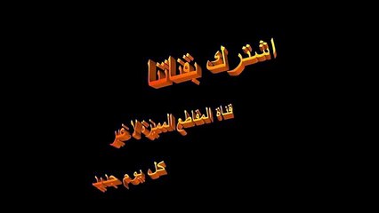 فريق طريف مكون من قطة و كلبين |غرائب وطرائف|