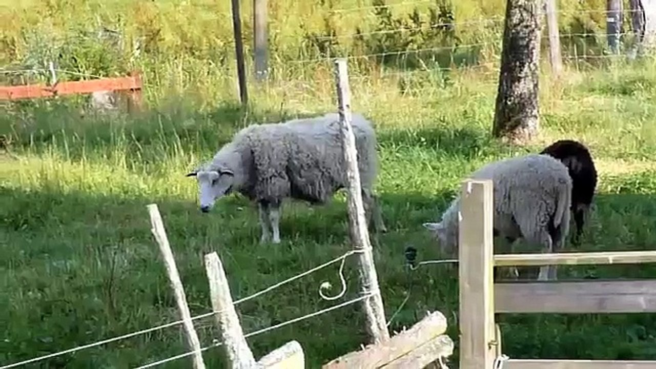 Bullerbü