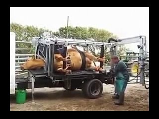 Superb job .watach this video and Enjoy it