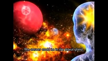 La importancia de la Serotonina y Melatonina. (((Ganoderma)))