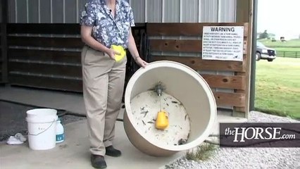 How to Clean/Disinfect Water Buckets and Troughs