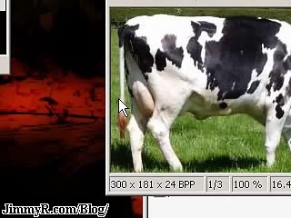 Windows - Howto Hide Files inside JPGs -tweak hack xp vista