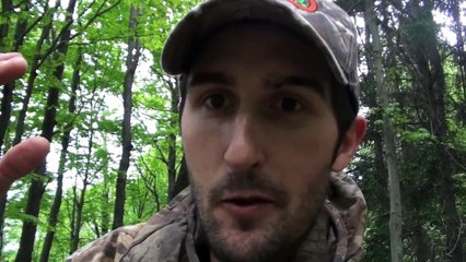 Black Bear Encounter 2013