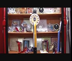 Rob Heijmans bij Tophobbyist in Newcastle(Northern England) dierenklinieklandhorst.nl