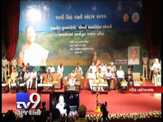 Asiatic lion population reaches 523, up by 27% Census - Tv9 Gujaratri