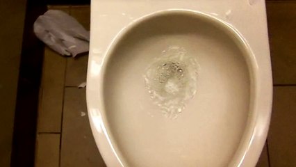 New American Standard Auto Flush Toilet