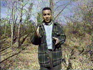 Por que será [27] - Ilusões de ótica