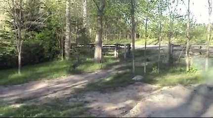 Nitro RC Car Crash / Jump compilation