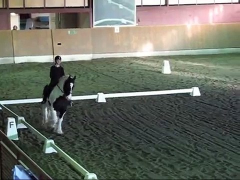 Irish cob (tinker) Domino rids dressyr till Heavy horses