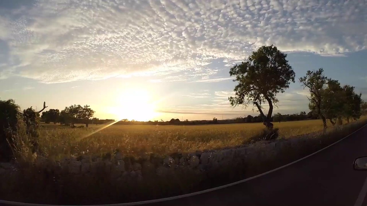 Tanz in den Mai - Project Party to Paradise