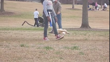 I don't want go home!!!