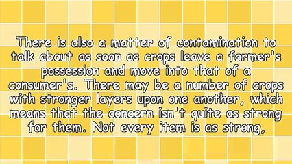 Organic Cleansing & The Efforts Of Philippe Van Den Bossche