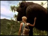 KAPAMILYA BLOCKBUSTERS: Mighty Joe Young