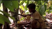 The Chocolate Industry - Human Trafficking in Africa