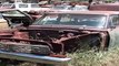 Gearhead Field Of Dreams - Antique Car Salvage yard