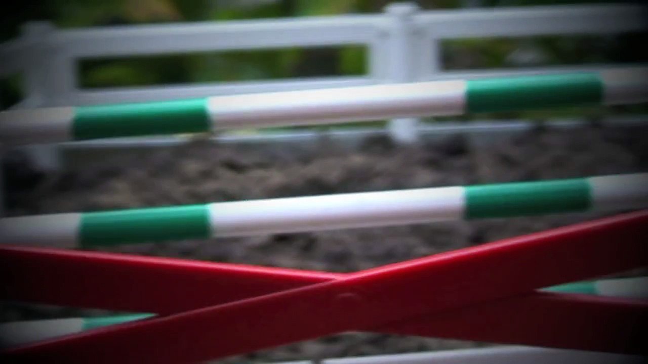 Schleich horse models - Showjumping