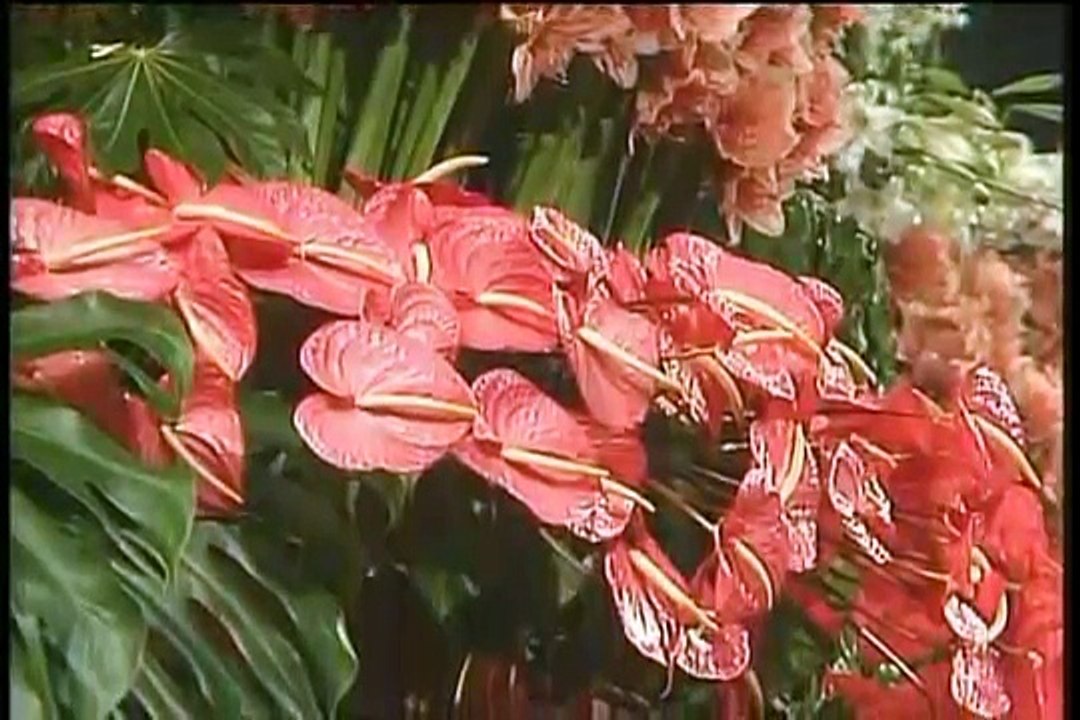 Josef Strauss Spharenklange Walzer NJK 1992 WPH Kleiber