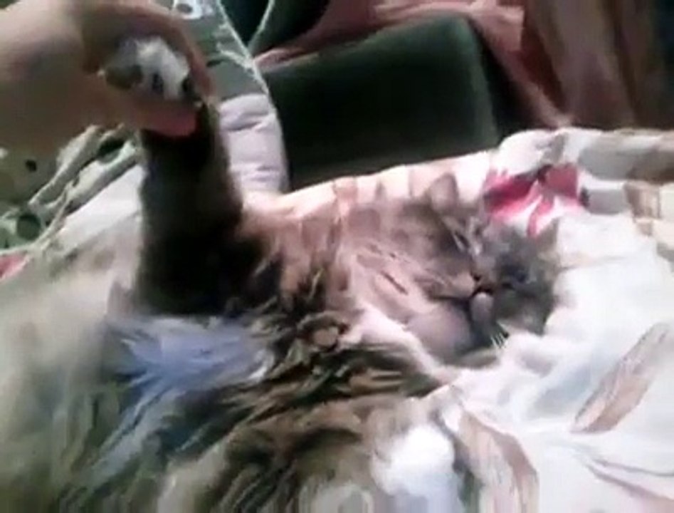 sleeping_like_boss