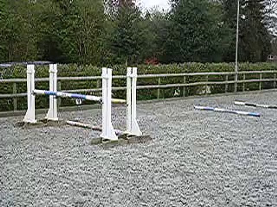 pony jumping