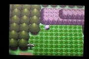 Shiny Buizel on Pokemon Pearl (11-15-09) Plus SHINY PATCH!!!