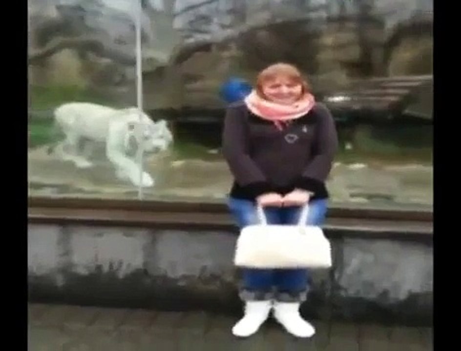 tiger_trolls_girl