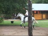 Horse Rearing-Chazot in full rear