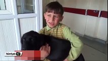 Yaralı köpeği hastanenin acil servisine getiren küçük Ömer...