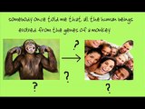 Evolution (australopithecus) Song
