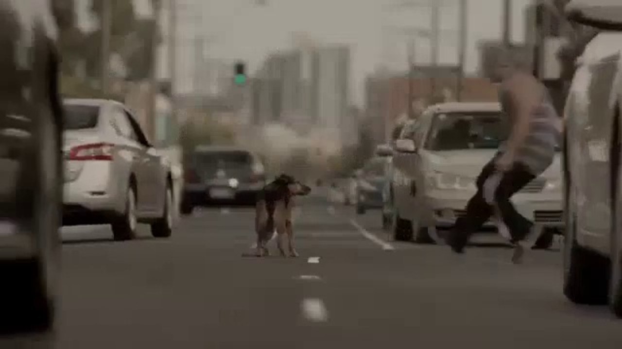 Clemenger BBDO Melbourne pour Pedigree - «Feed the good» - mai 2015
