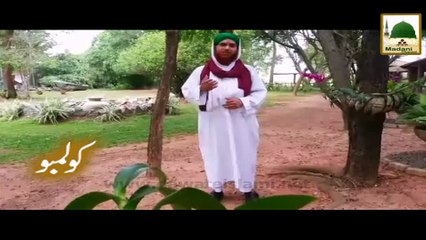 Donation for Dawateislami - Zakat, Fitra and Sadaqat