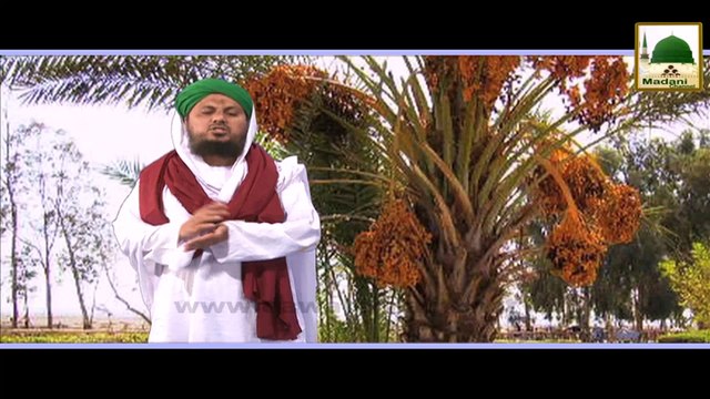 Khwabon Ki Tabeer - Khajoor (Dates) Ko Khwab Me Dekhna Kesa