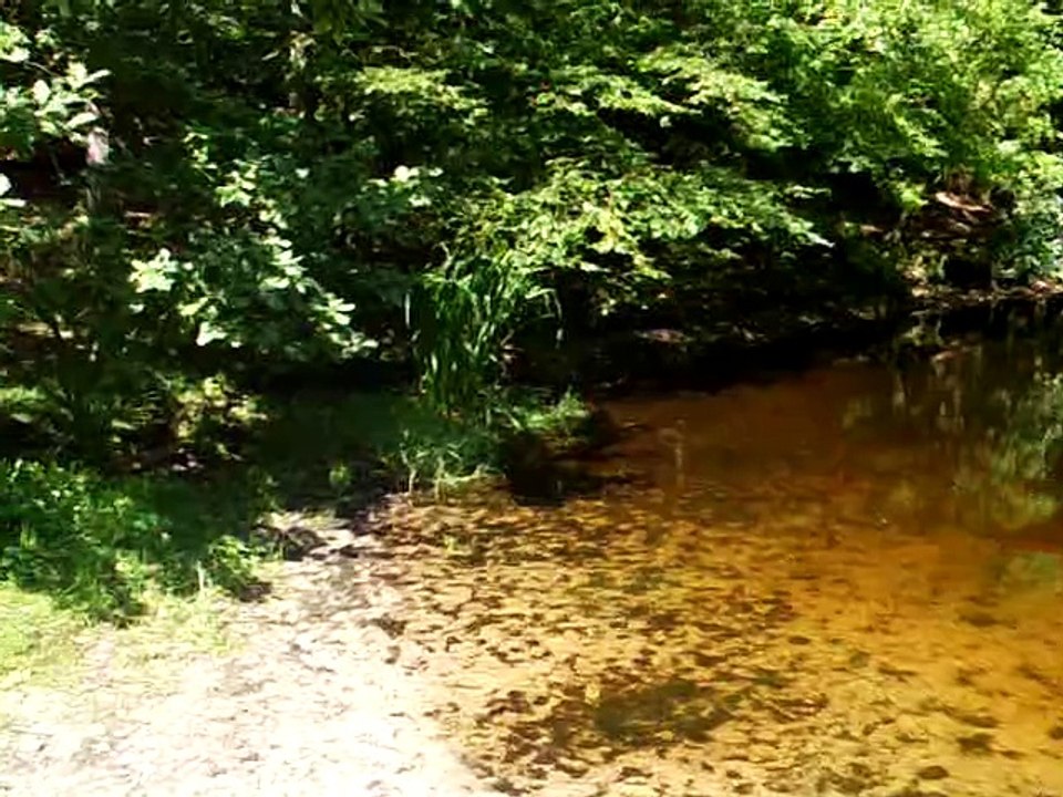 Von Katensen nach Burgdorf