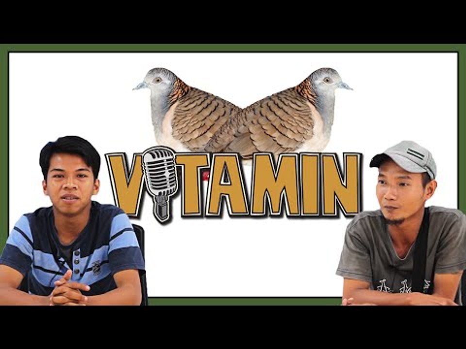 VITAMIN Edisi Tukang Bajaj dan Burung Perkutut Papa