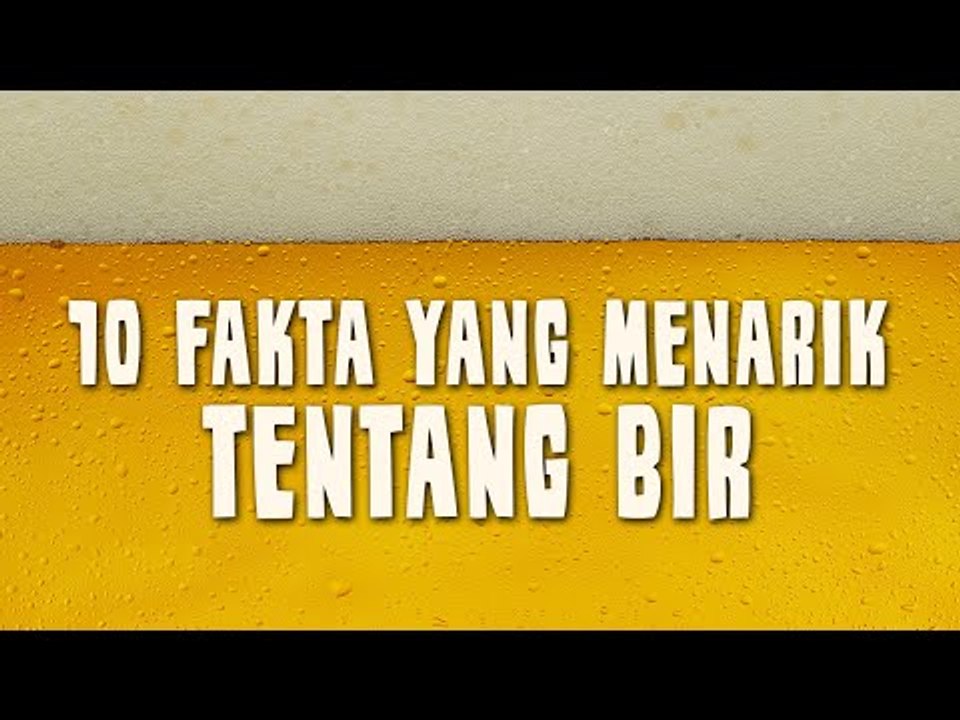 10 Fakta yang Menarik Buat Pencinta Bir