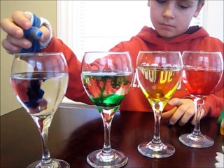 COLOR CHANGING FLOWERS Easy Kids Science Experiment