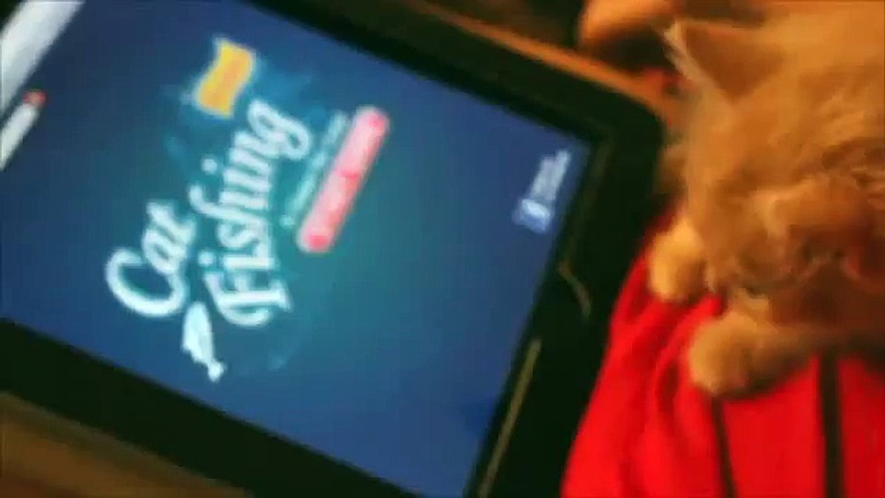 Cute Cat plays on iPad