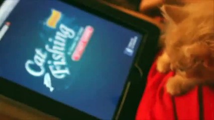 Cute Cat plays on iPad