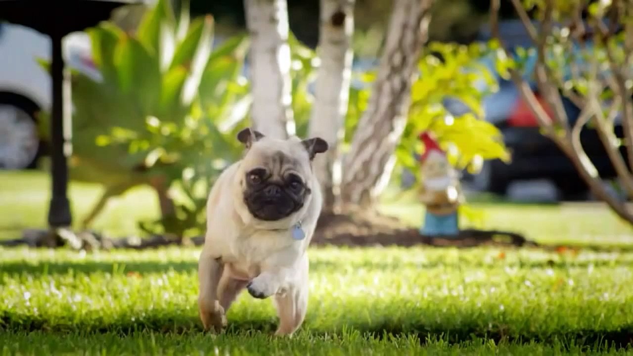 Самая смешная реклама чипсов Doritos